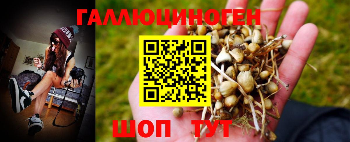 Галлюциногенные грибы GOLDEN TEACHER Киров